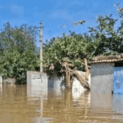 Help Rebuild a Flood-Devastated Marlapadu Thanda